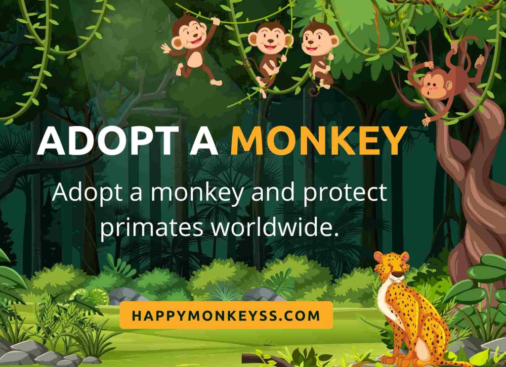 Adopt a monkey